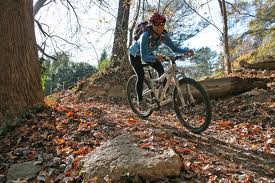 mountain bike nei boschi in Toscana